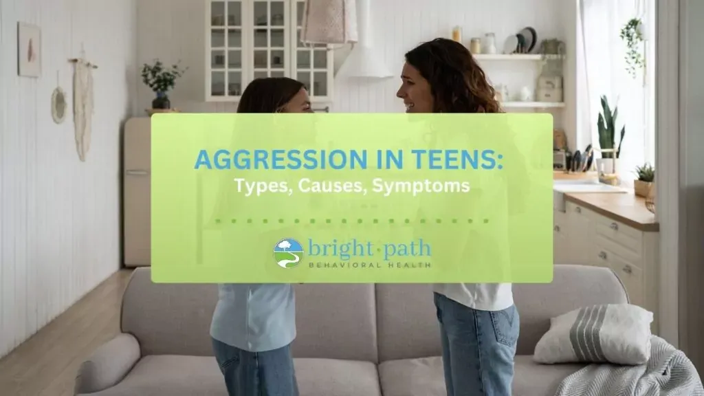 Aggression In Teens: Types, Causes, Symptoms