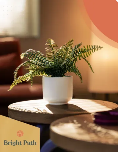 Fern in a white pot on a round side table in a Bright Path lounge
