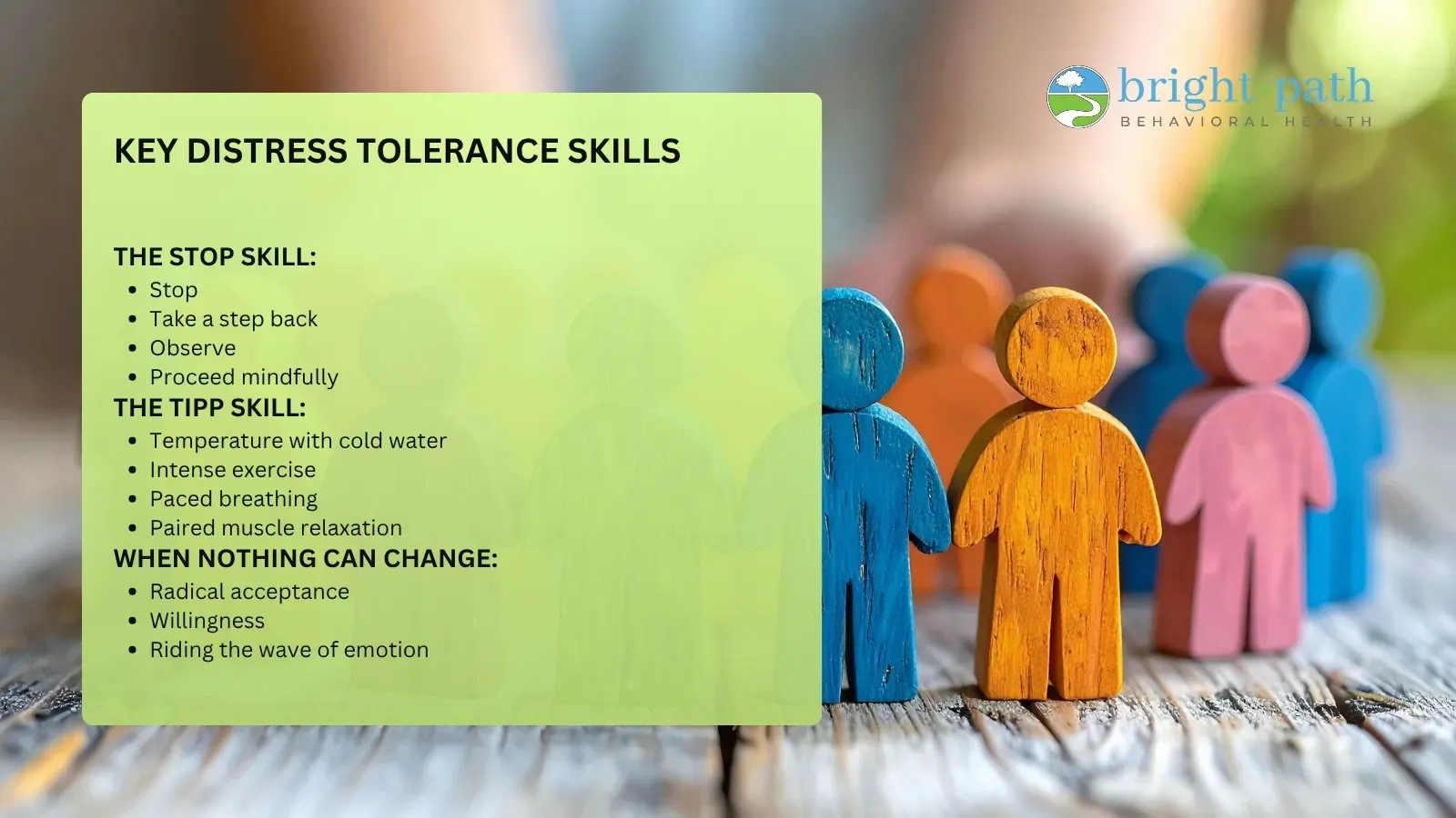 Distress Tolerance Skills for Teens: A DBT Guide for Families