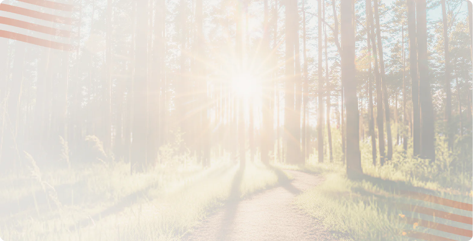 Sunlight streaming through pine trees over a forest path, Bright Path Behavioral Health teen mental health guide