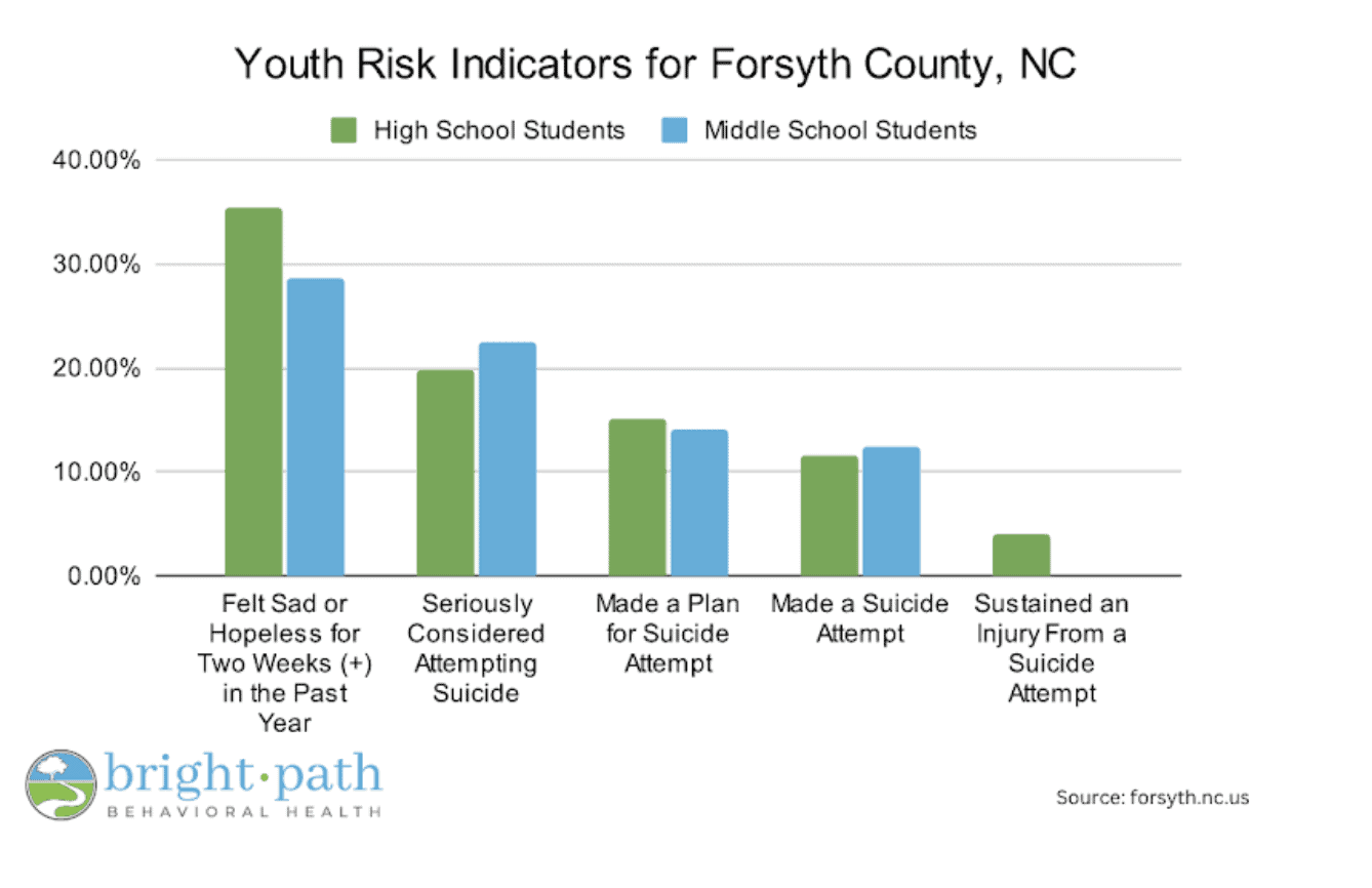 Youth Risk Indicators For Forsyth County, NC