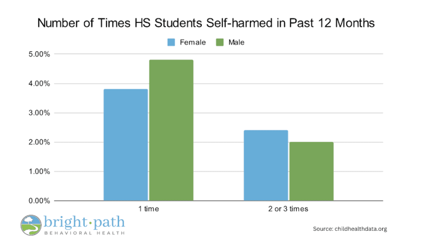 Self Harm Amongst HS Students North Carolina